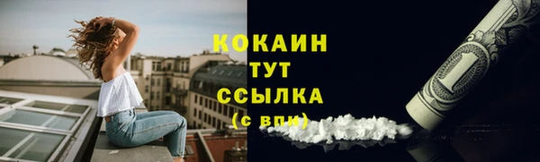 2c-b Бородино