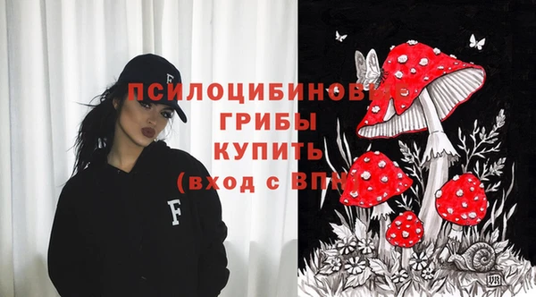 ПСИЛОЦИБИНОВЫЕ ГРИБЫ Бронницы