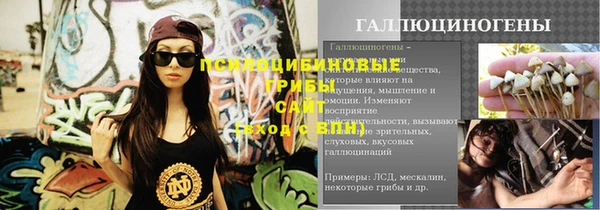 2c-b Бородино