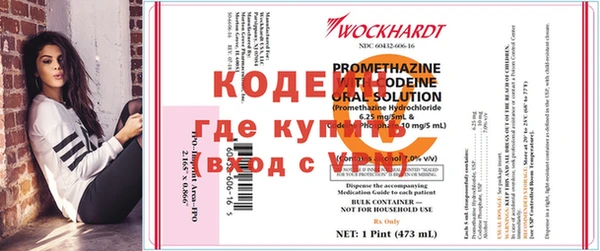 2c-b Бородино